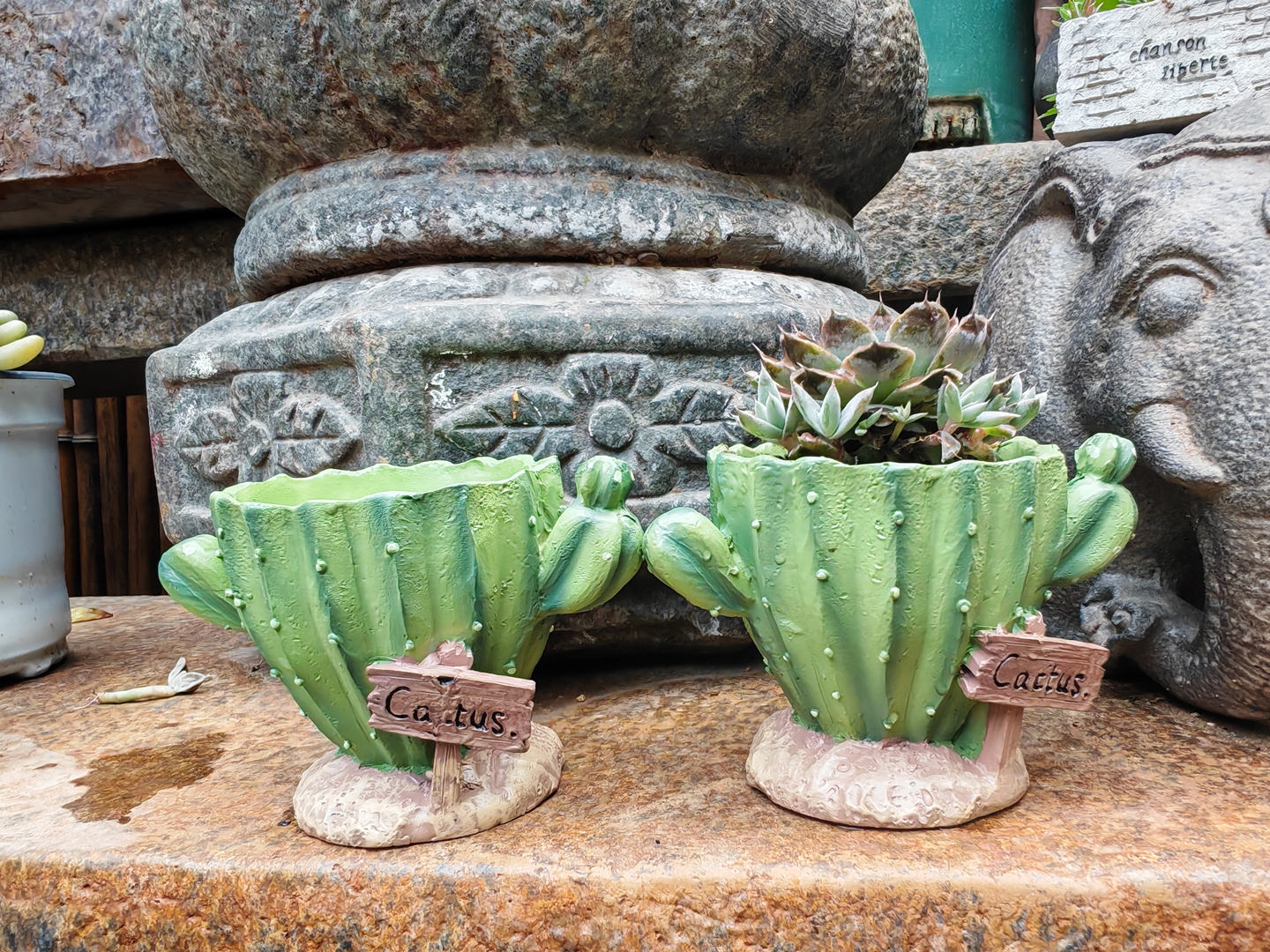 Gardening Tools Cute - Cactus Flower Planter Pot Cute mini