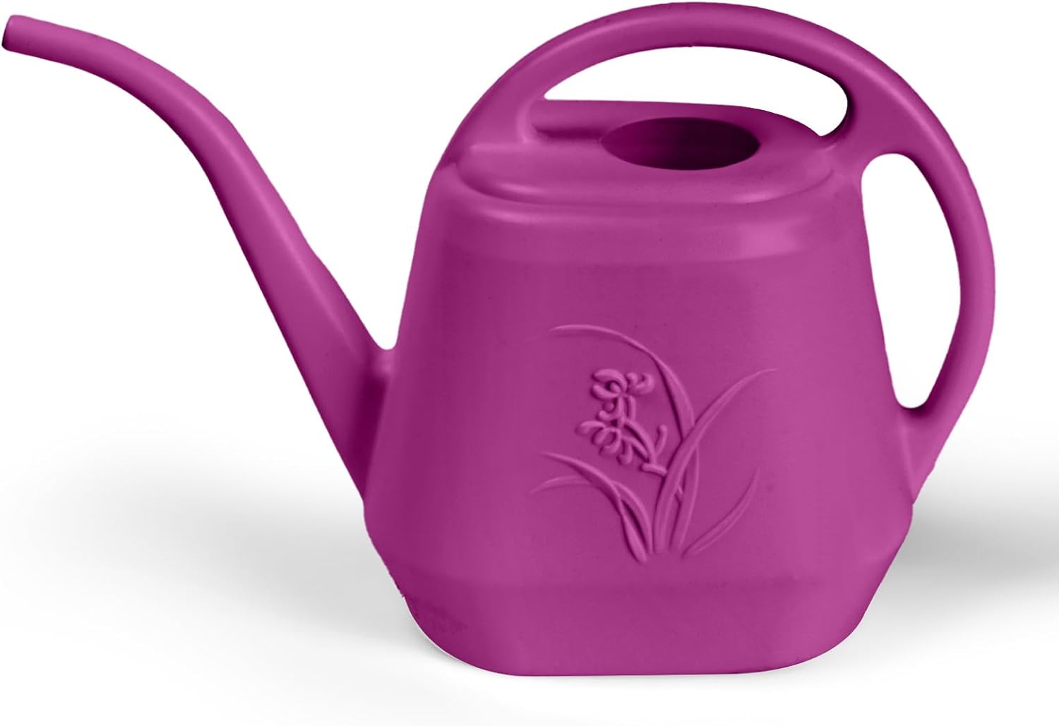 Watering Can Long Spout - 1/2 Gallon Watering Can with Long