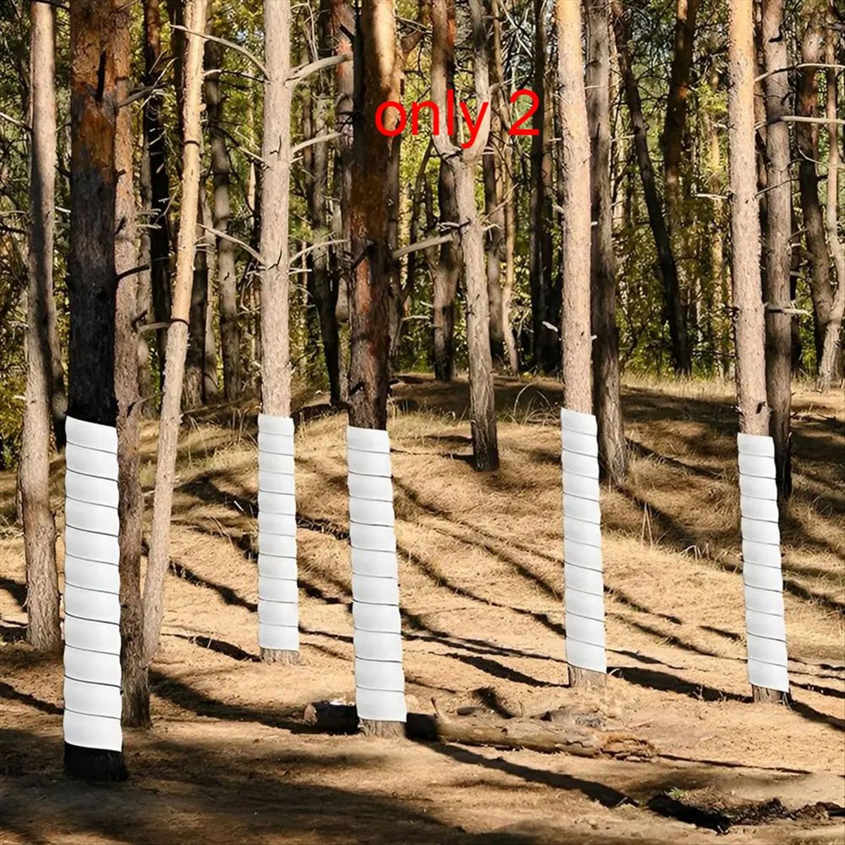 A75K Plant Tree Trunk Protecto - Gardening Hand Tools B&Q recensie en prijs