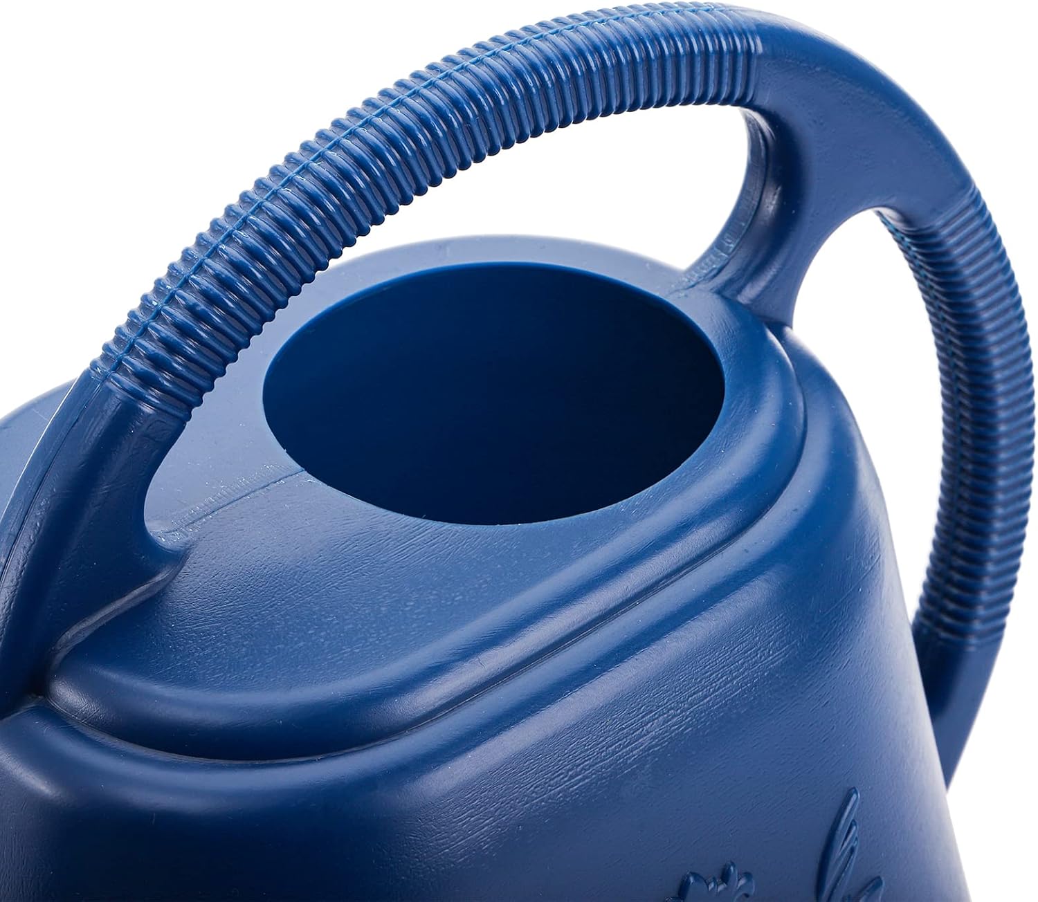 1-Gallon Plastic Watering Can  - Watering Can Long Spout recensie en prijs