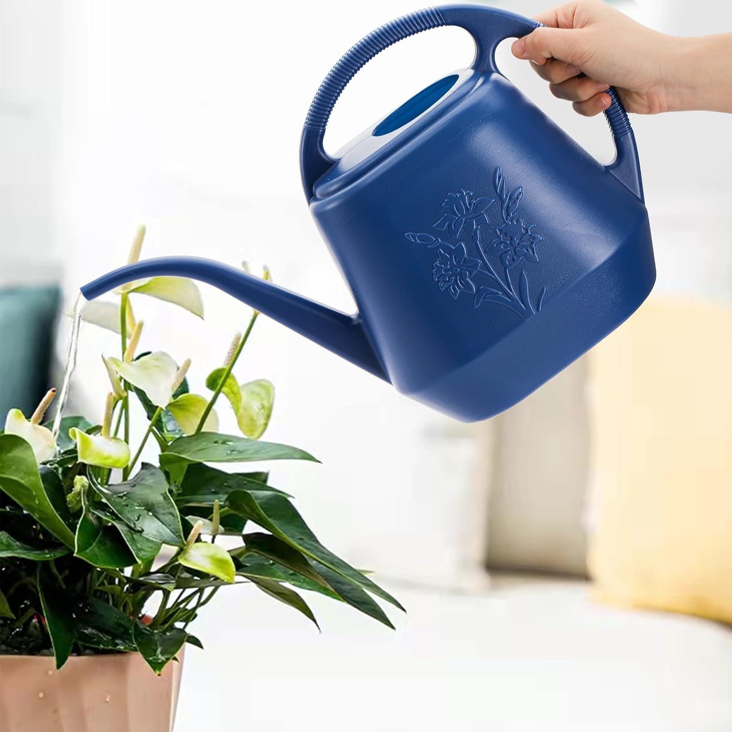 1-Gallon Plastic Watering Can  - Watering Can Long Spout recensie en prijs