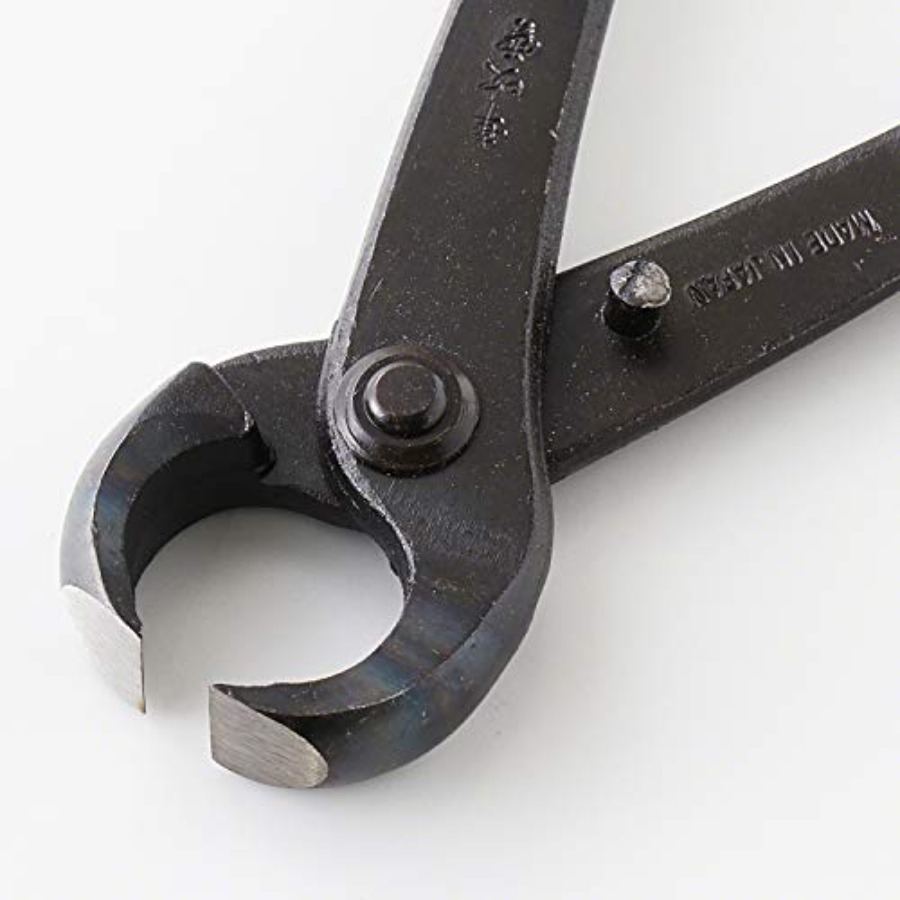 Hand Forged Bonsai Tree Trunk  - Gardening Tools Made In Japan recensie en prijs