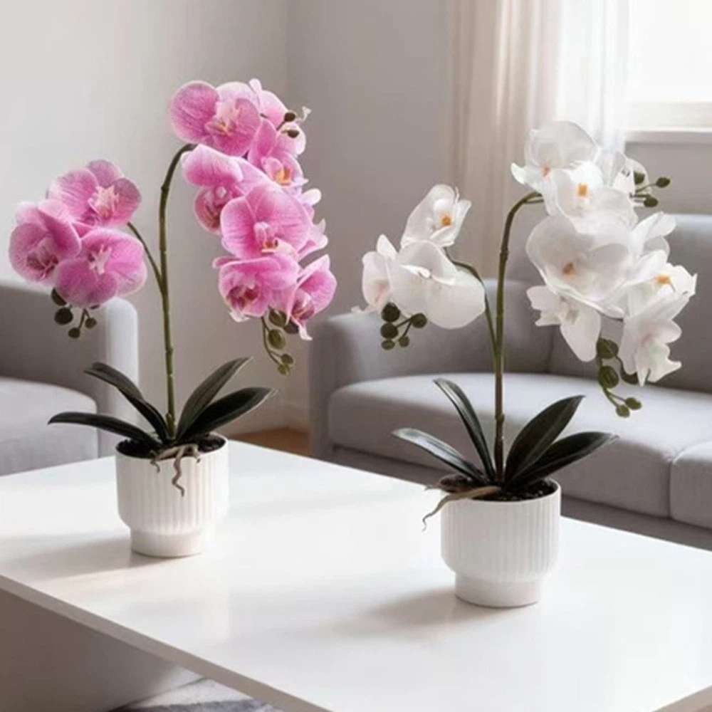 Multi-Bloom Simulated Butterfl - Orchid Potting Mix recensie en prijs