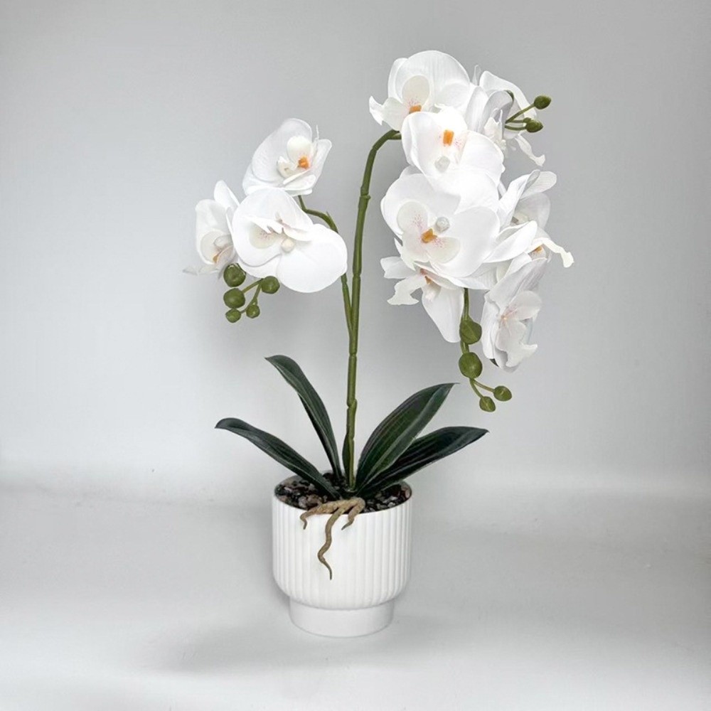 Multi-Bloom Simulated Butterfl - Orchid Potting Mix recensie en prijs