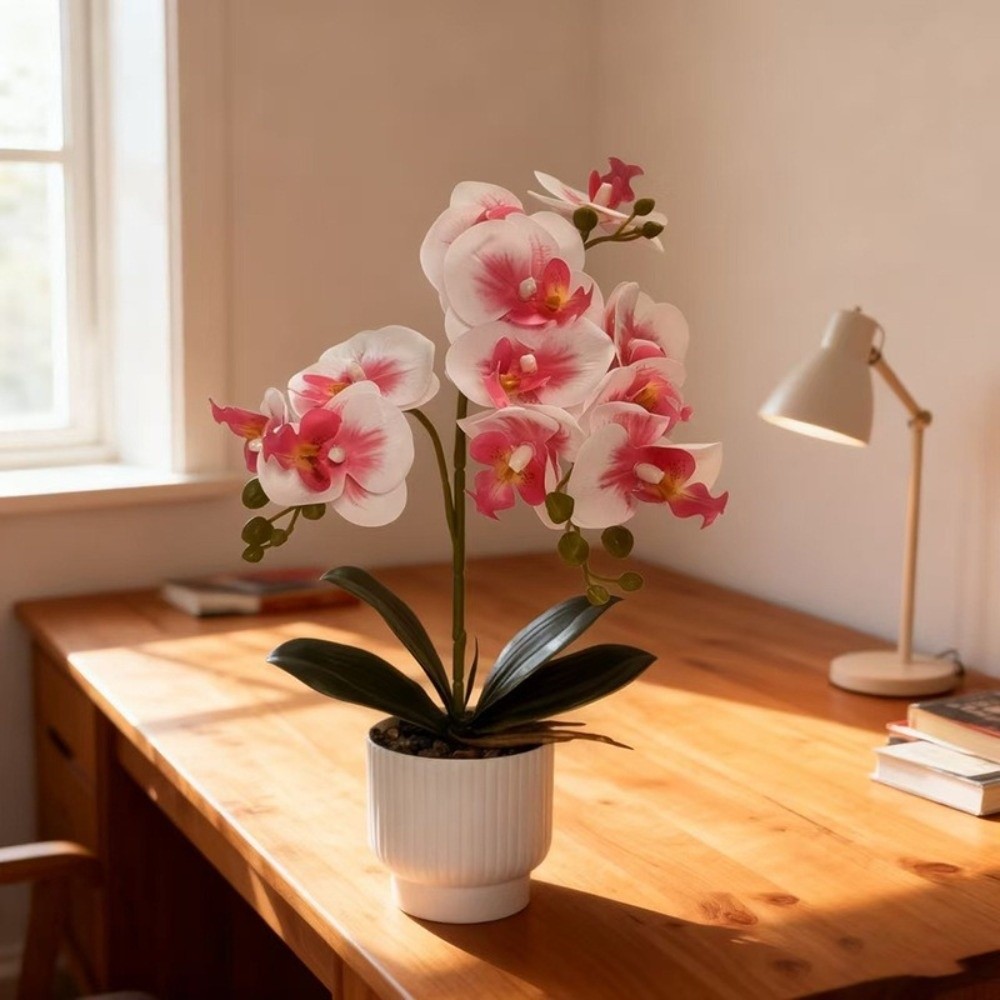 Multi-Bloom Simulated Butterfl - Orchid Potting Mix recensie en prijs