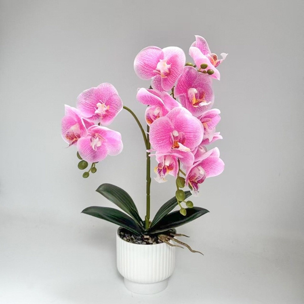 Multi-Bloom Simulated Butterfl - Orchid Potting Mix recensie en prijs