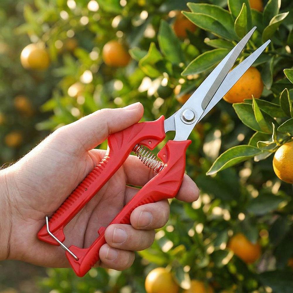 1PC Stainless Steel Garden Sci - Gardening Tools To Cut Branches recensie en prijs