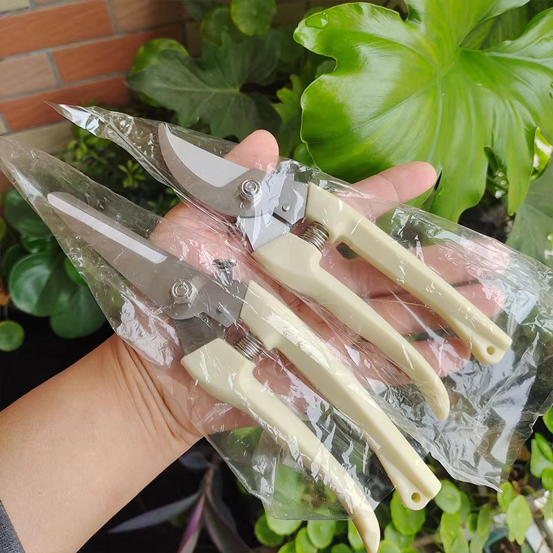 Stainless Steel Pruning Shears - Gardening Tools To Cut Branches recensie en prijs