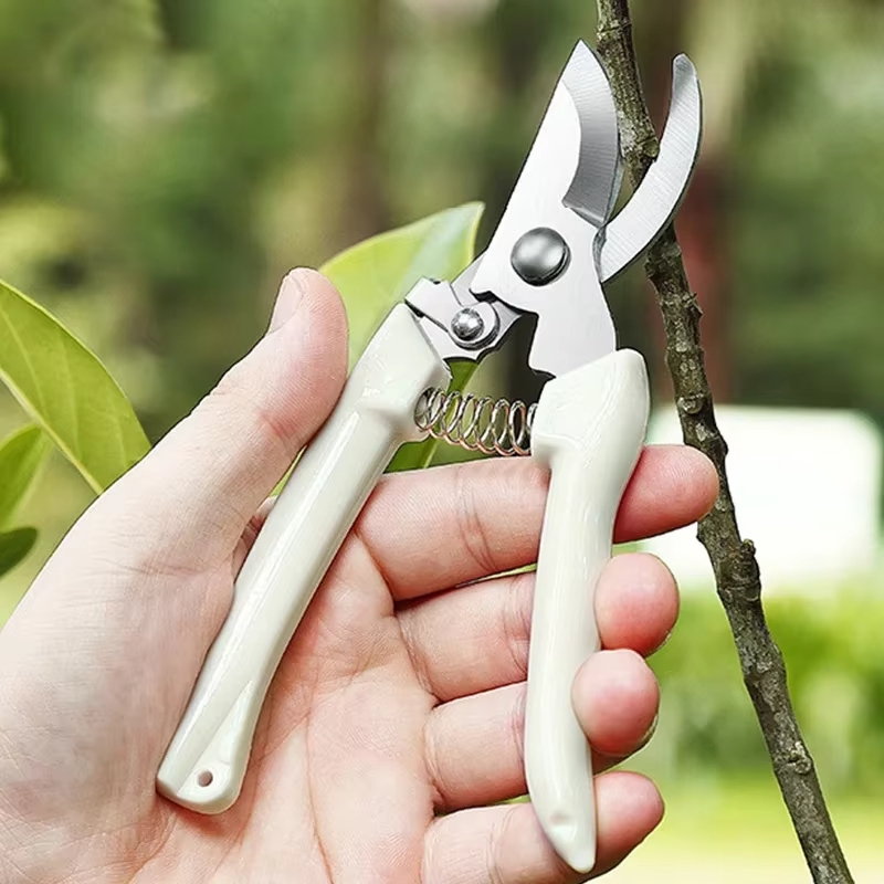 Stainless Steel Pruning Shears - Gardening Tools To Cut Branches recensie en prijs