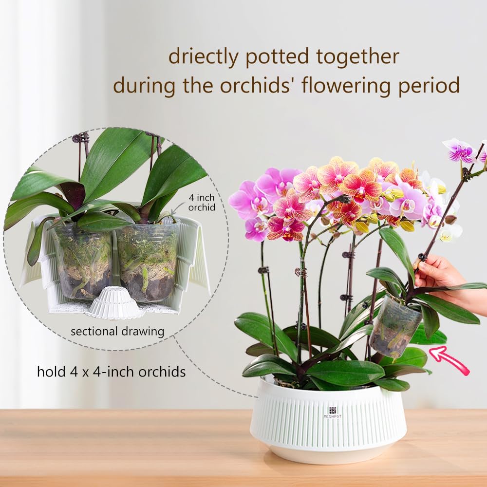 Orchid Pot with Holes & Saucer - Orchid Potting Mix recensie en prijs