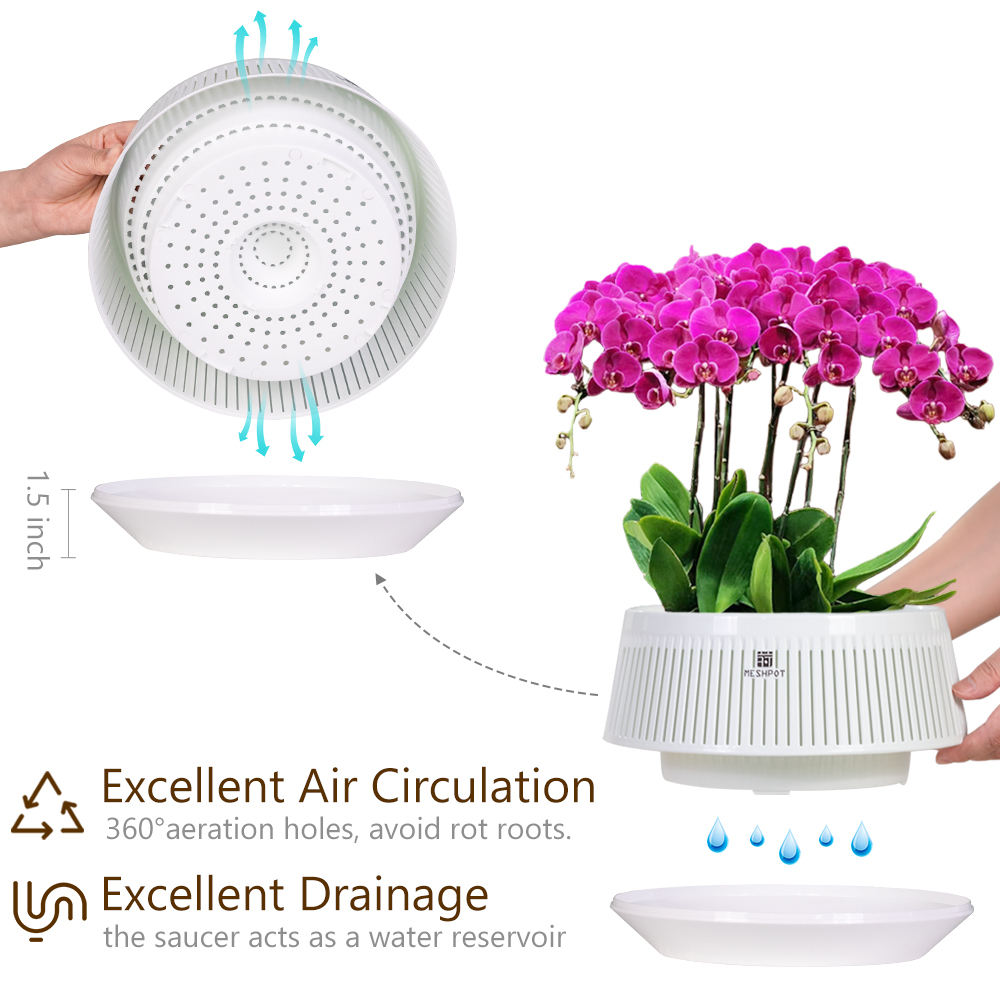 Orchid Pot with Holes & Saucer - Orchid Potting Mix recensie en prijs