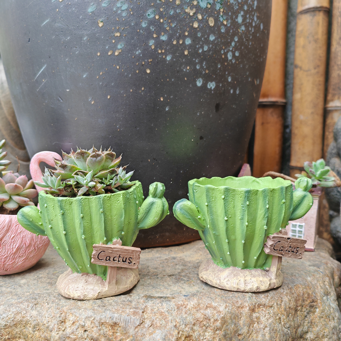 Cactus Flower Planter Pot Cute - Gardening Tools Cute recensie en prijs