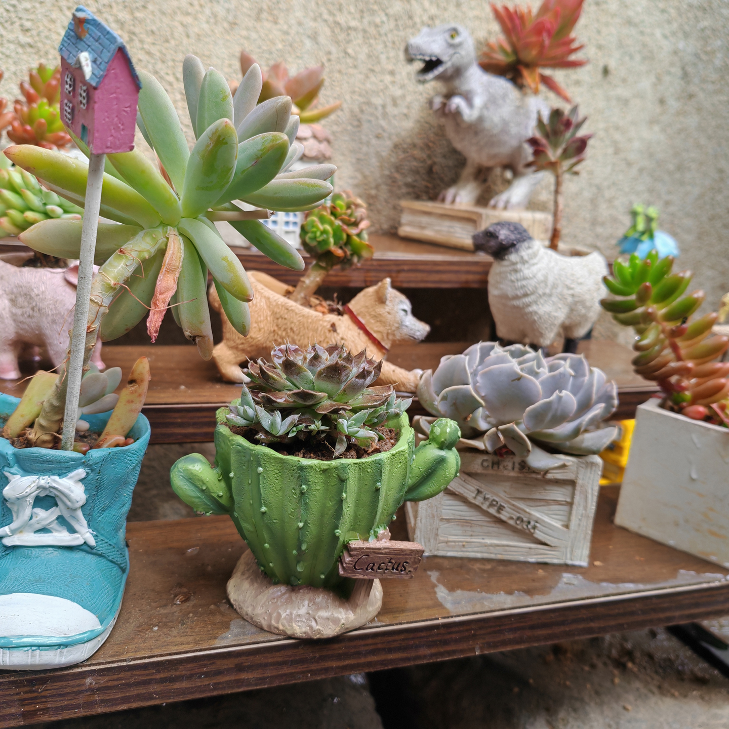 Cactus Flower Planter Pot Cute - Gardening Tools Cute recensie en prijs