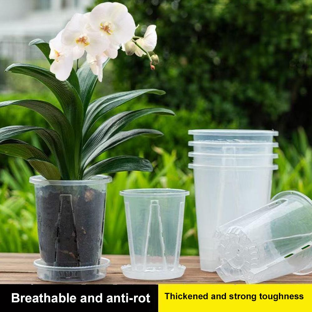 Plastic Root Control Transpare - Orchid Potting Mix recensie en prijs