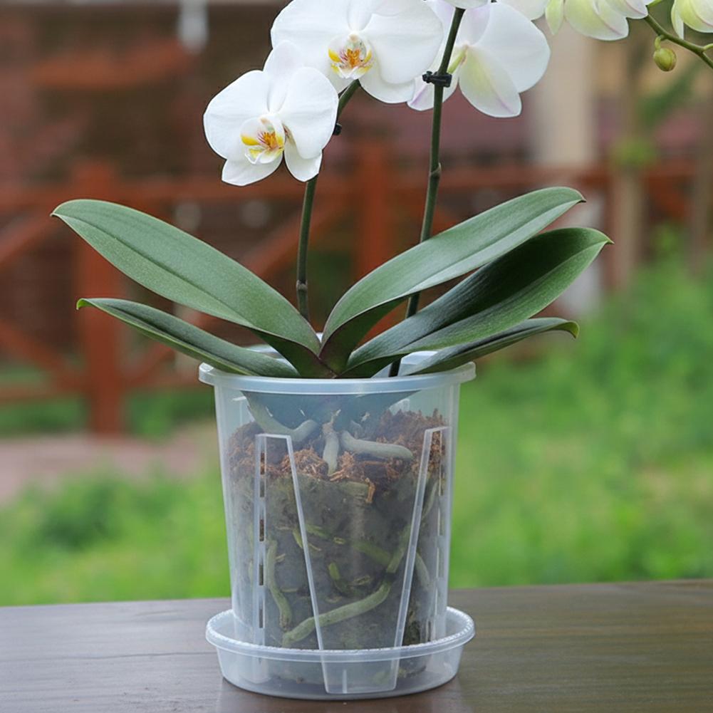 Plastic Root Control Transpare - Orchid Potting Mix recensie en prijs