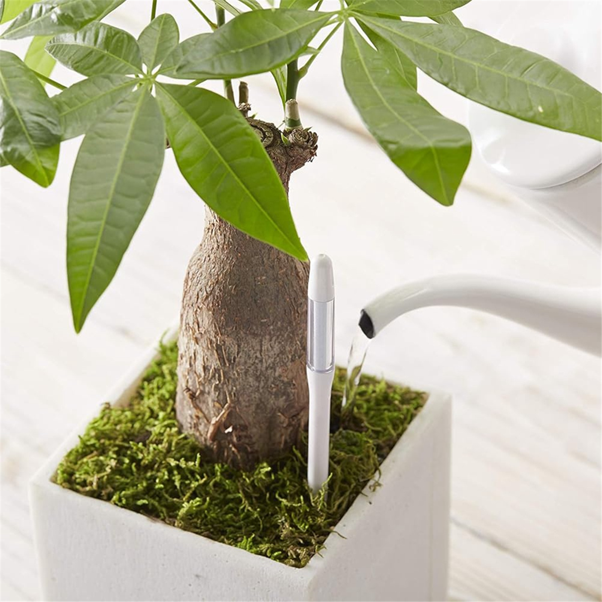 ABNJ Aquameter, 5pcs, Plant So - Moisture Meter Plant recensie en prijs