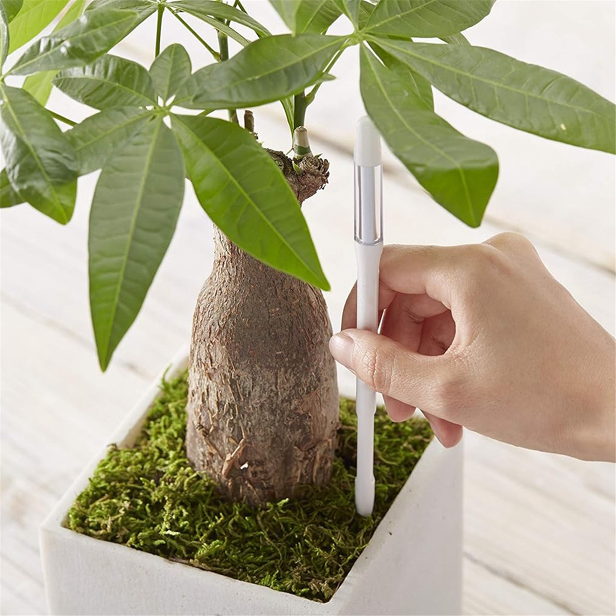 ABNJ Aquameter, 5pcs, Plant So - Moisture Meter Plant recensie en prijs