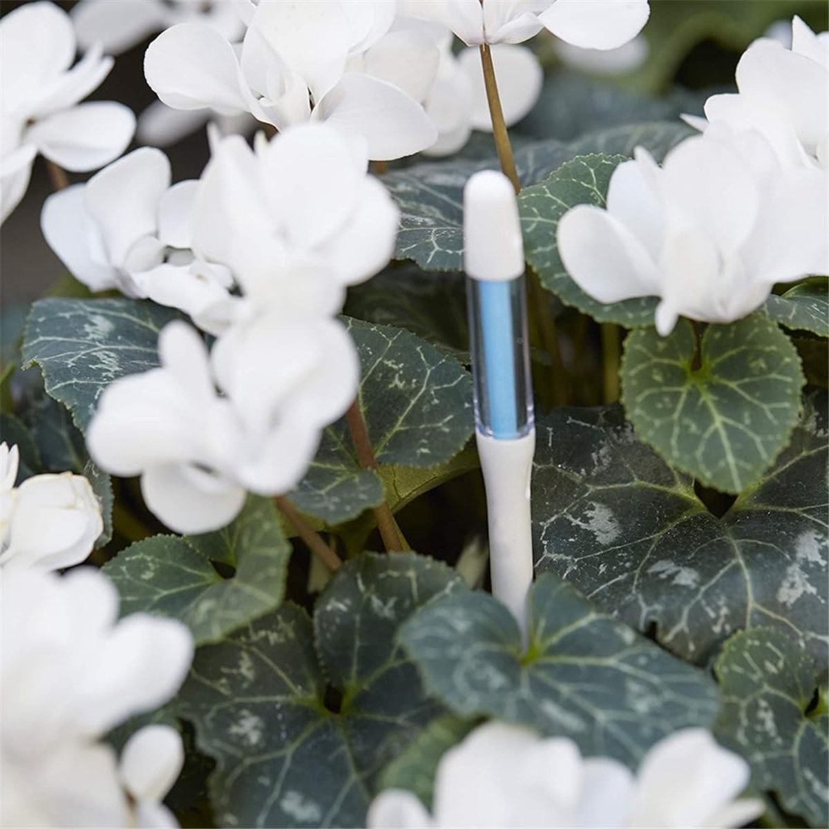 ABNJ Aquameter, 5pcs, Plant So - Moisture Meter Plant recensie en prijs