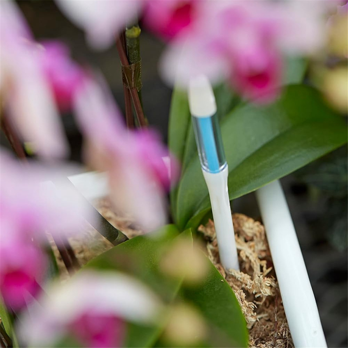 ABNJ Aquameter, 5pcs, Plant So - Moisture Meter Plant recensie en prijs