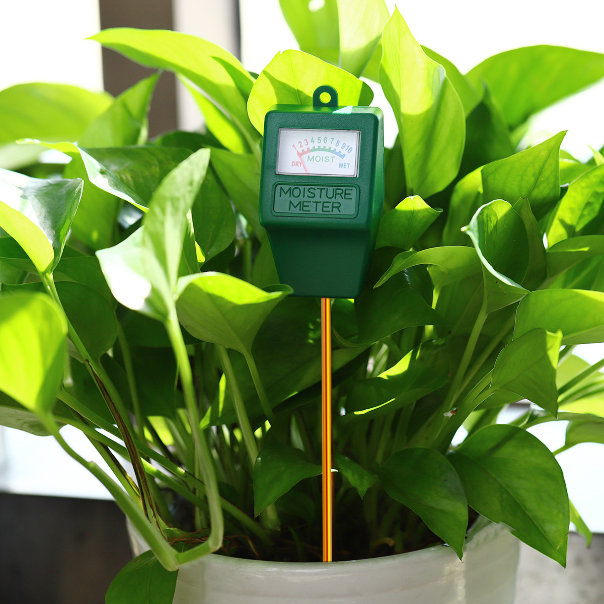 Soil Moisture Meter Precise Mo - Moisture Meter Plant recensie en prijs