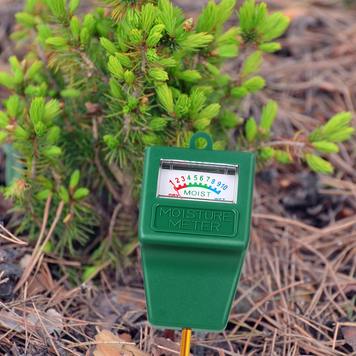 Soil Moisture Meter Precise Mo - Moisture Meter Plant recensie en prijs