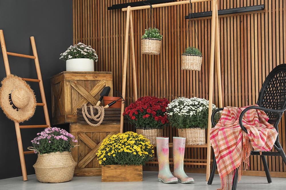 Capisco backgrounds for photog - Gardening Tools Photo recensie en prijs