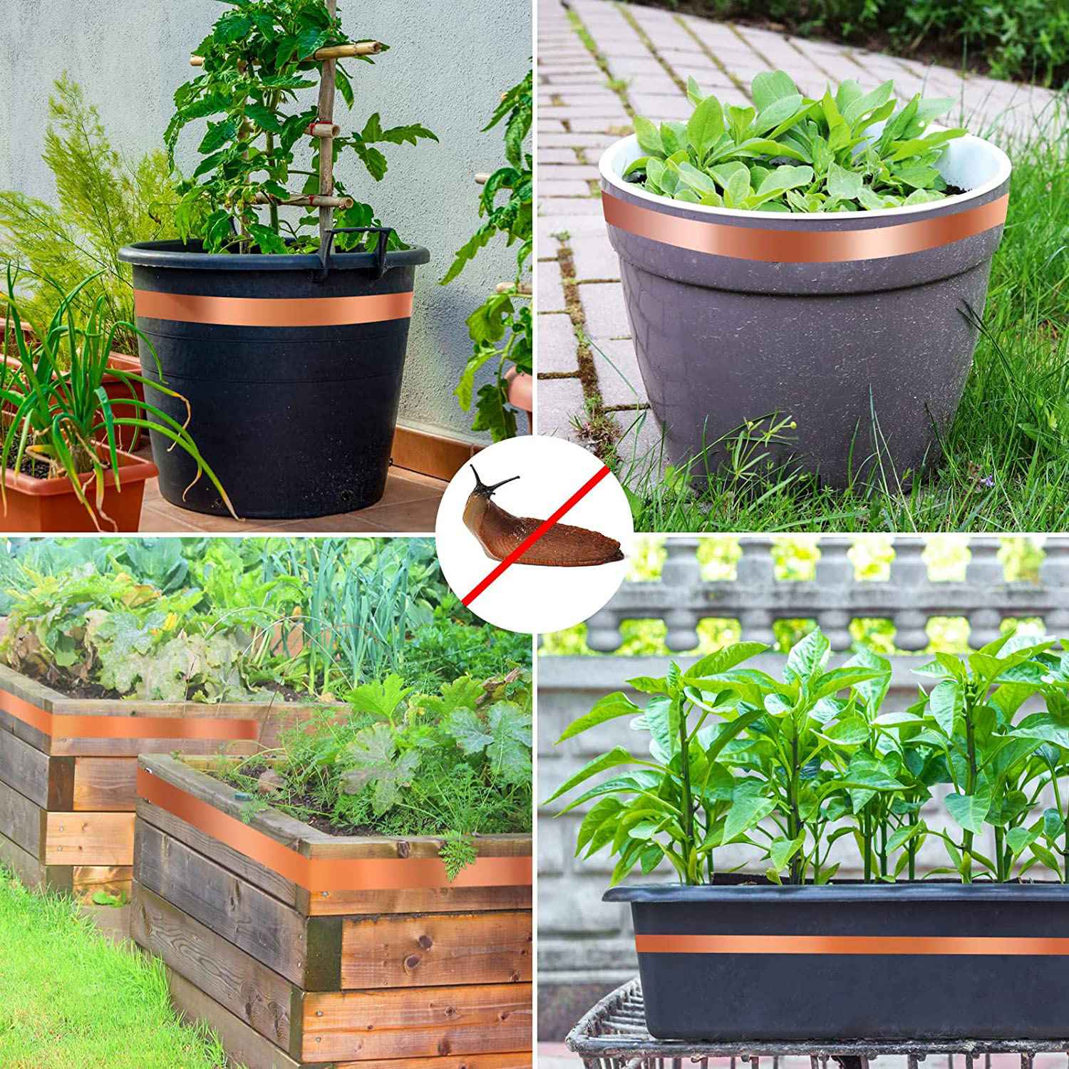 KEKA Snail Protection, Copper  - Gardening Hand Tools B&Q recensie en prijs