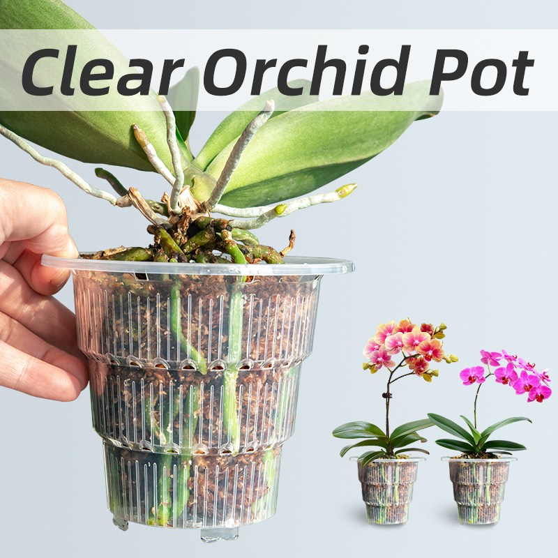 Meshpot Clear Plastic Orchid P - Orchid Potting Mix recensie en prijs
