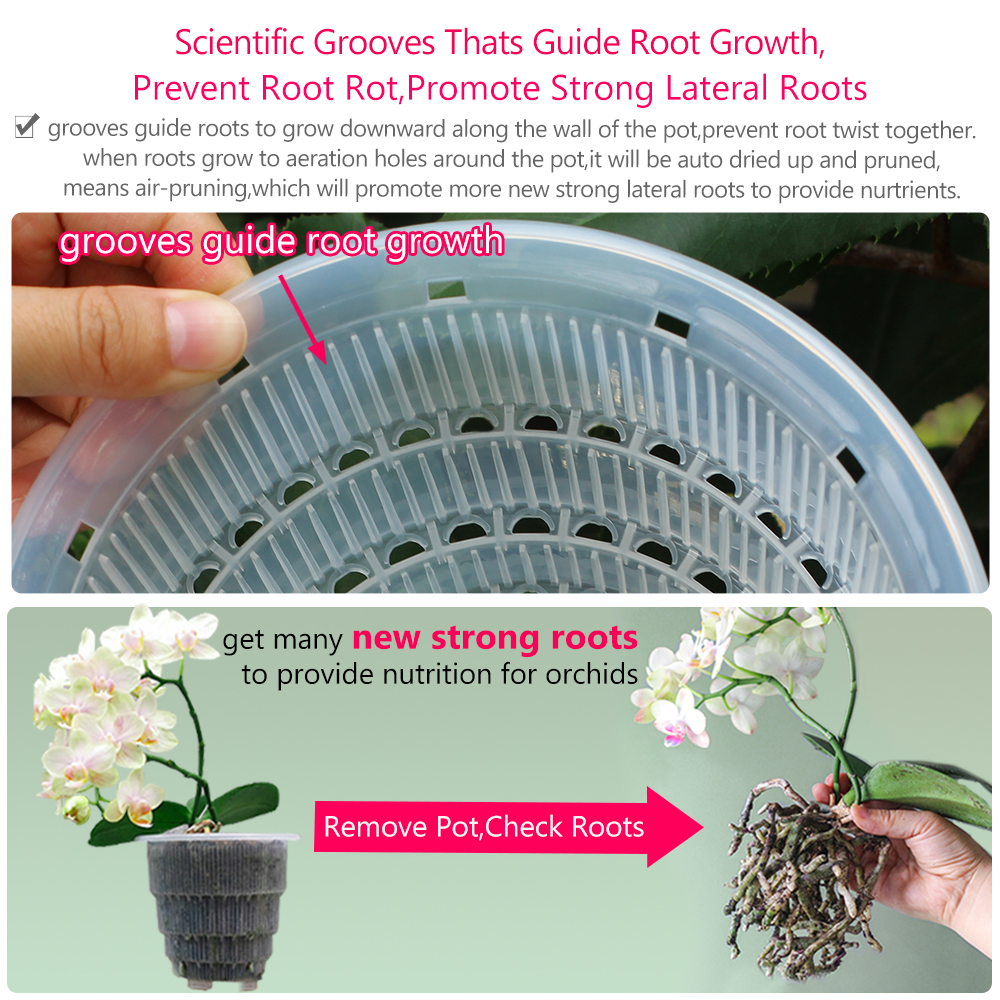 Meshpot Clear Plastic Orchid P - Orchid Potting Mix recensie en prijs