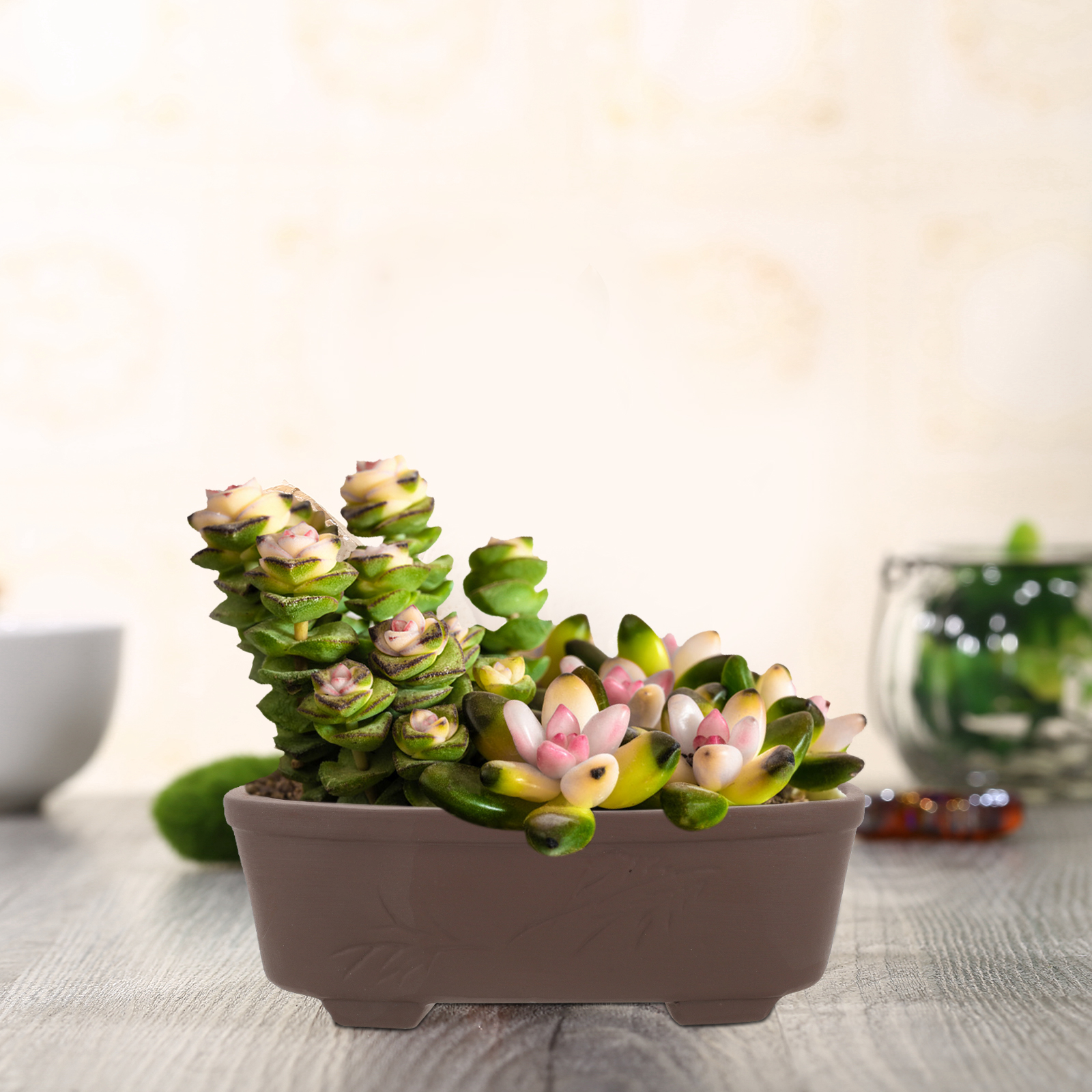 Handmade Vintage Style Clay Te - Orchid Potting Mix recensie en prijs