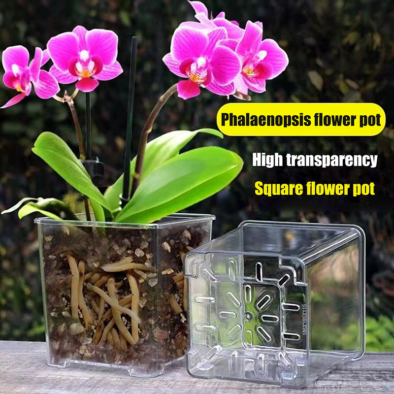 3 Size Square Transparent Acry - Orchid Potting Mix recensie en prijs