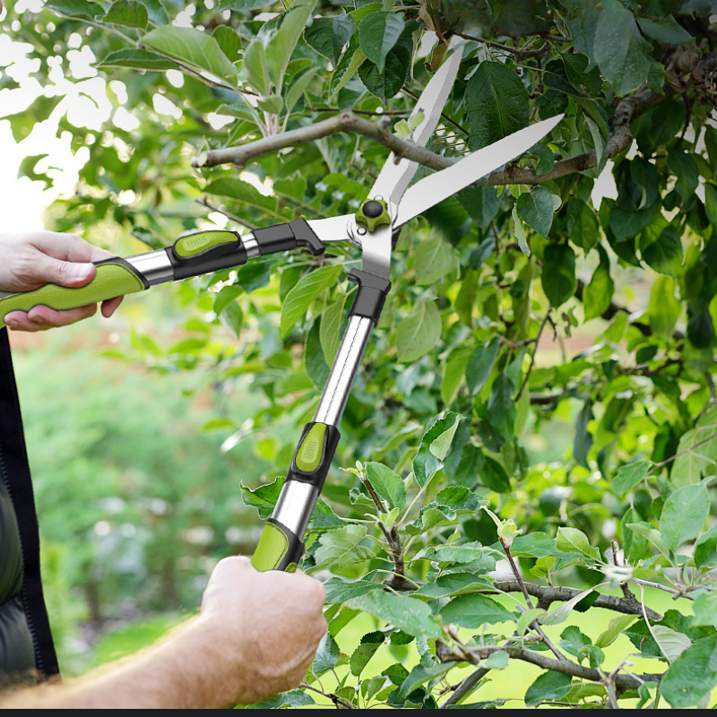 Long Length Scissor Hedge Anvi - Gardening Tools To Cut Branches recensie en prijs