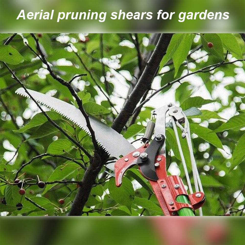 Pruning Shears Labor-Saving Hi - Gardening Tools To Cut Branches recensie en prijs