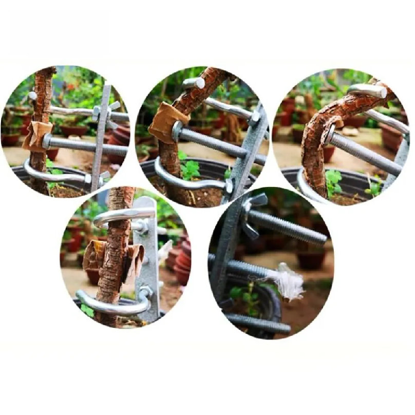 Bonsai Tools Trees Branch Modu - Gardening Tools Repair recensie en prijs