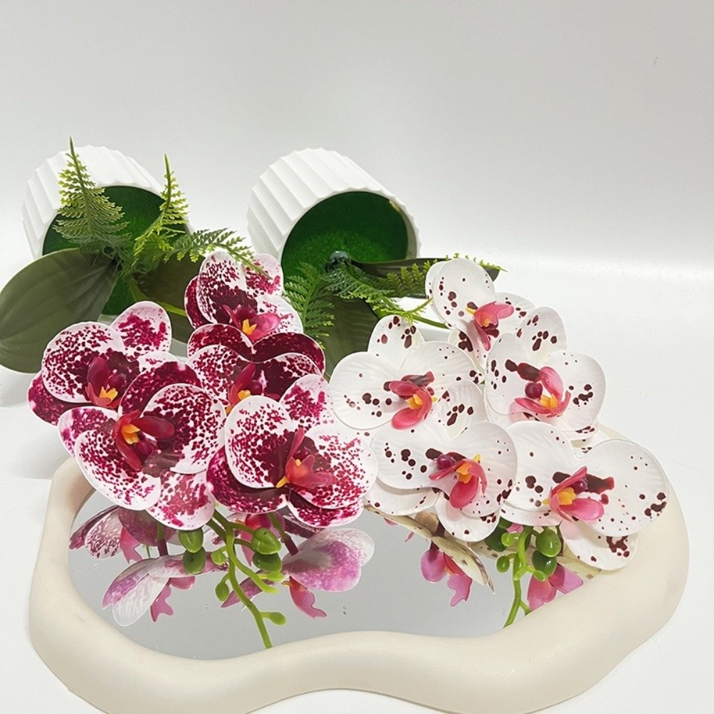 Multi-Bloom Simulated Butterfl - Orchid Potting Mix recensie en prijs
