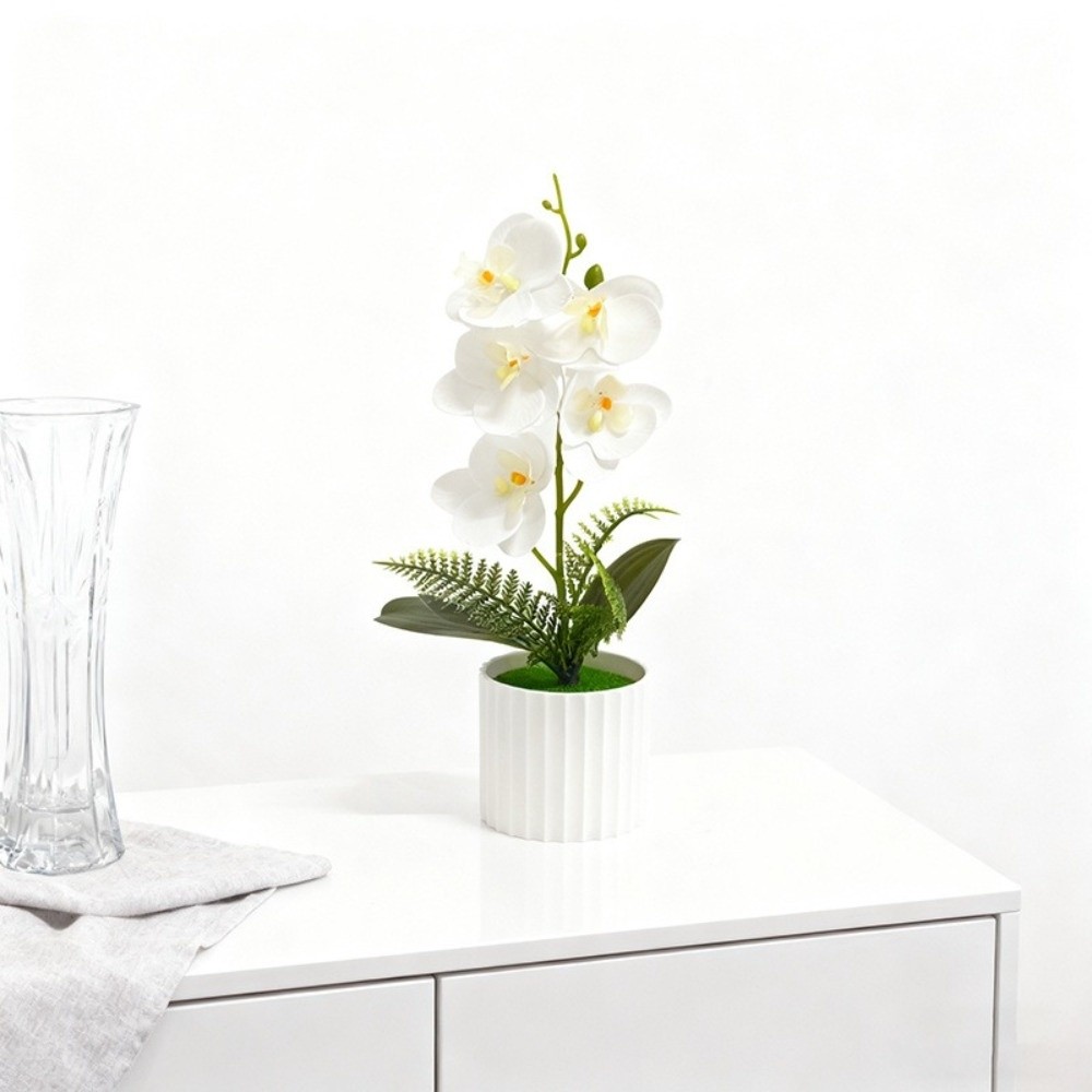 Multi-Bloom Simulated Butterfl - Orchid Potting Mix recensie en prijs