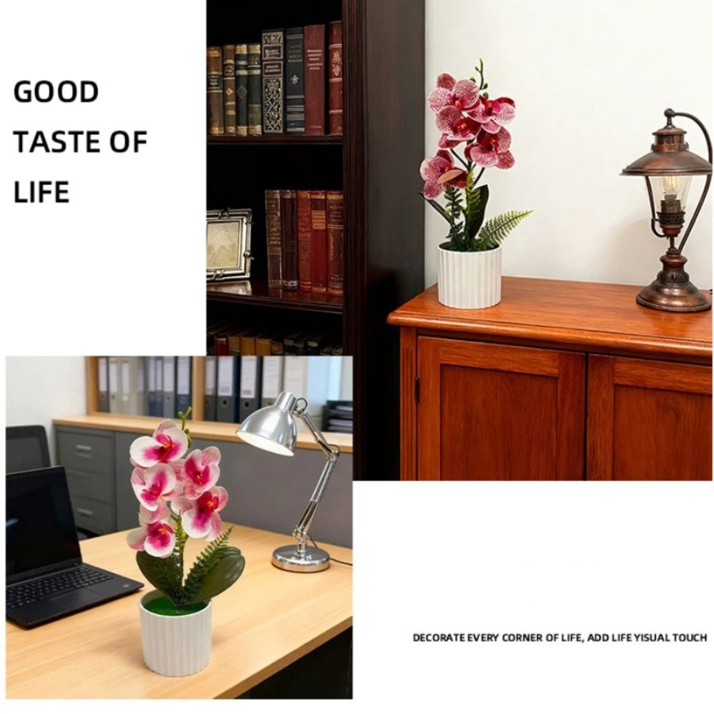 Multi-Bloom Simulated Butterfl - Orchid Potting Mix recensie en prijs