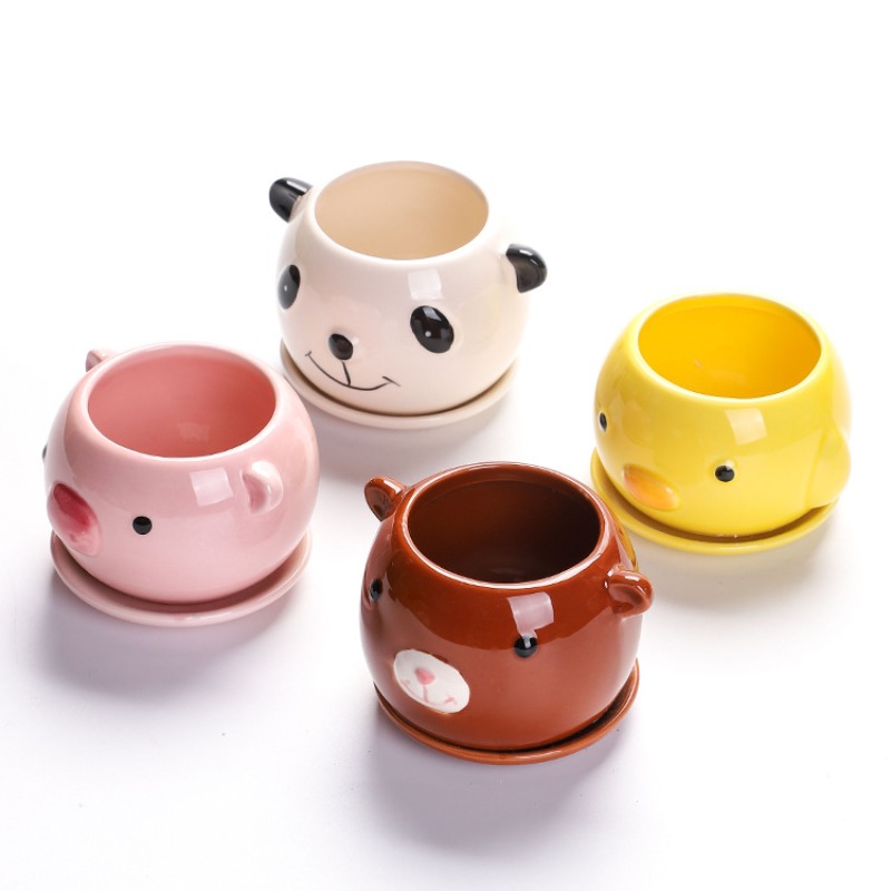 Succulent Cartoon Flowerpot Ce - Orchid Potting Mix recensie en prijs