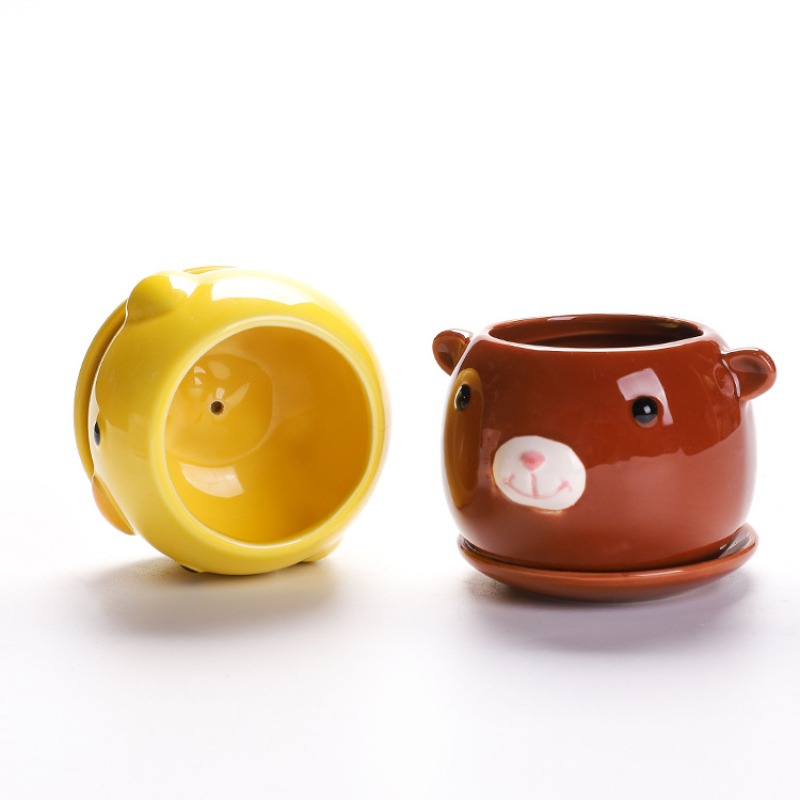 Succulent Cartoon Flowerpot Ce - Orchid Potting Mix recensie en prijs