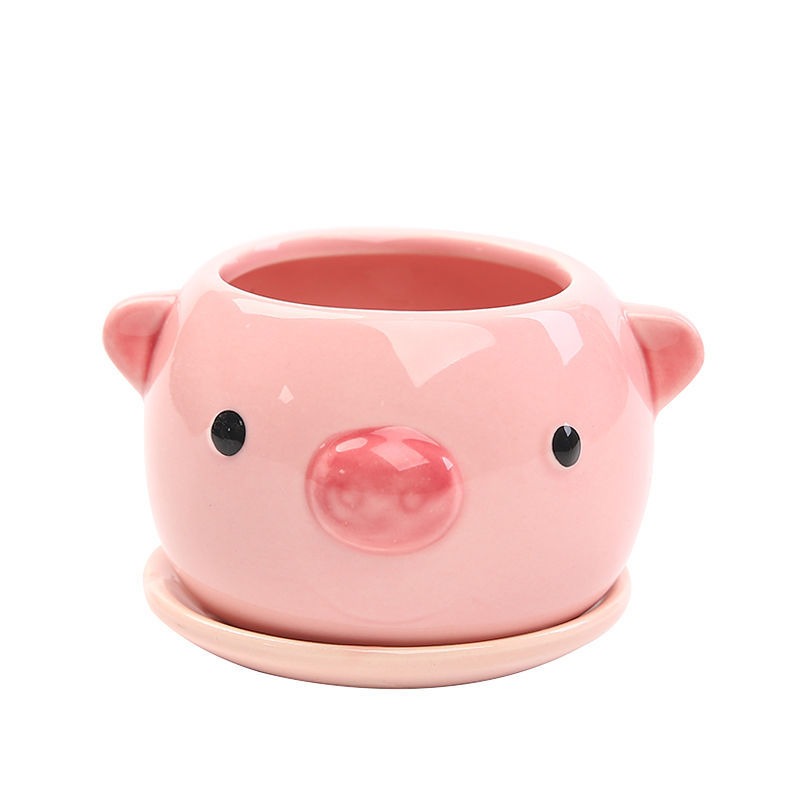 Succulent Cartoon Flowerpot Ce - Orchid Potting Mix recensie en prijs