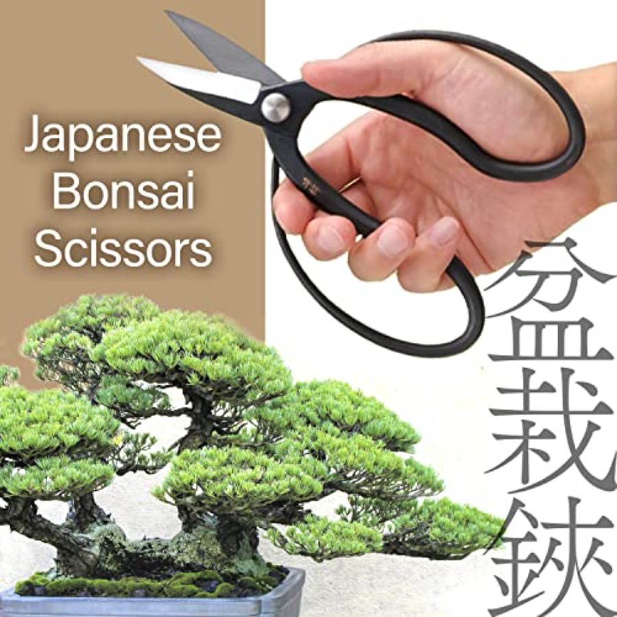 Japanese Suiryu Bonsai Scissor - Gardening Tools Made In Japan recensie en prijs