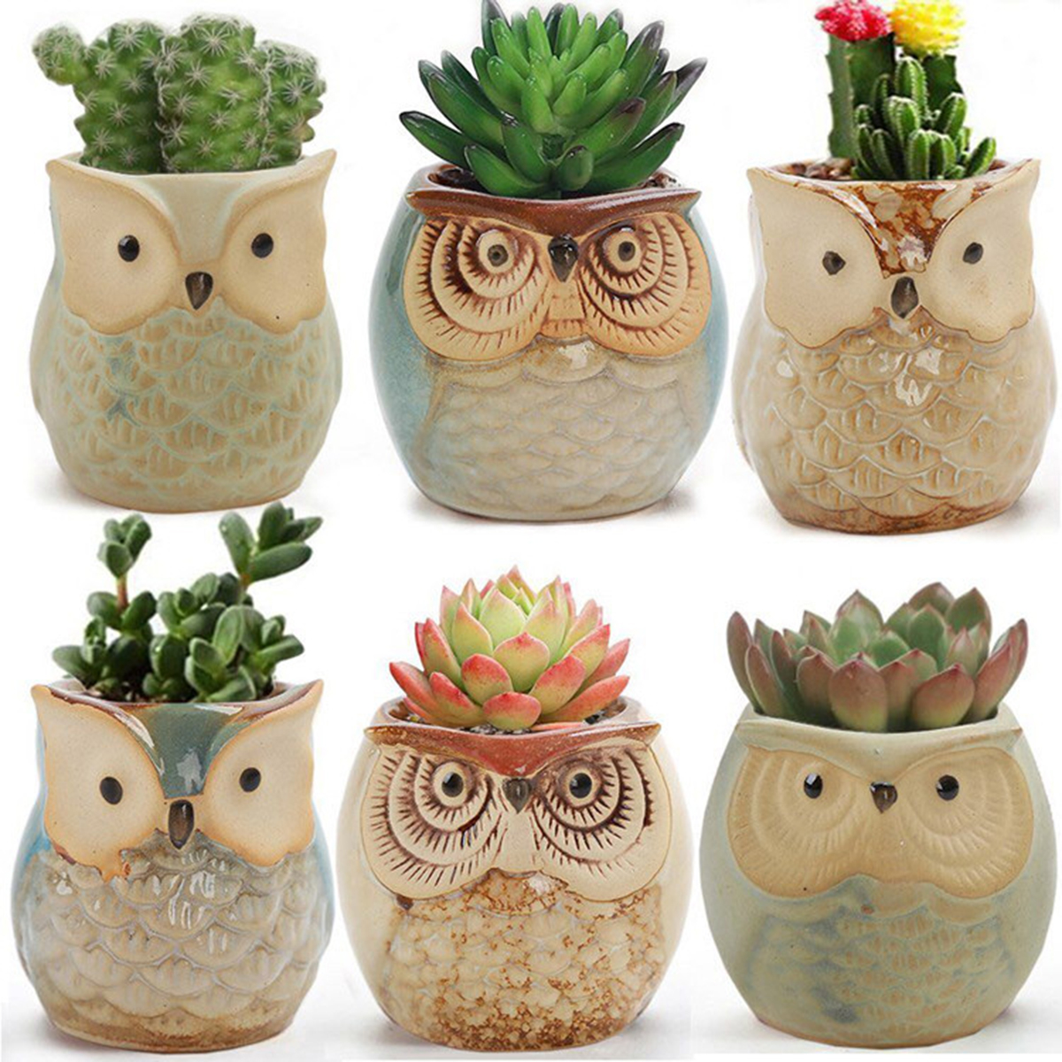 Home Garden Supplies Decoratio - Gardening Tools Cute recensie en prijs