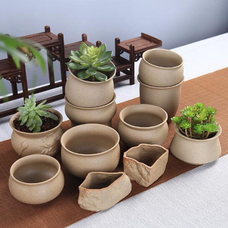 Retro Coarse Pottery Succulent - Orchid Potting Mix recensie en prijs