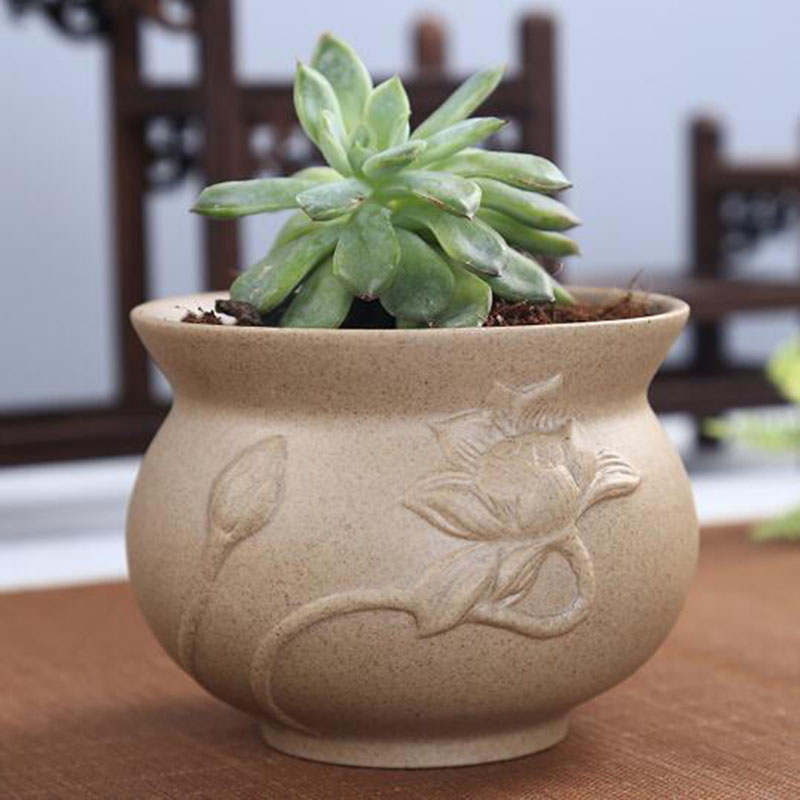 Retro Coarse Pottery Succulent - Orchid Potting Mix recensie en prijs