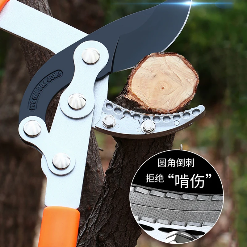 Long Length Scissor Hedge Anvi - Gardening Tools German recensie en prijs