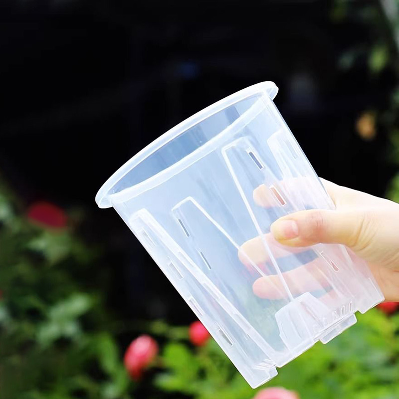 12cm for orchid Plant grow  Po - Orchid Potting Mix recensie en prijs