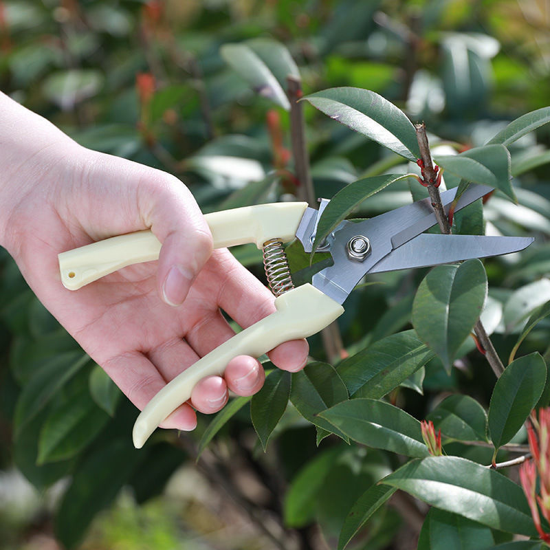1PC Stainless Steel Pruning Sc - Gardening Tools To Cut Branches recensie en prijs
