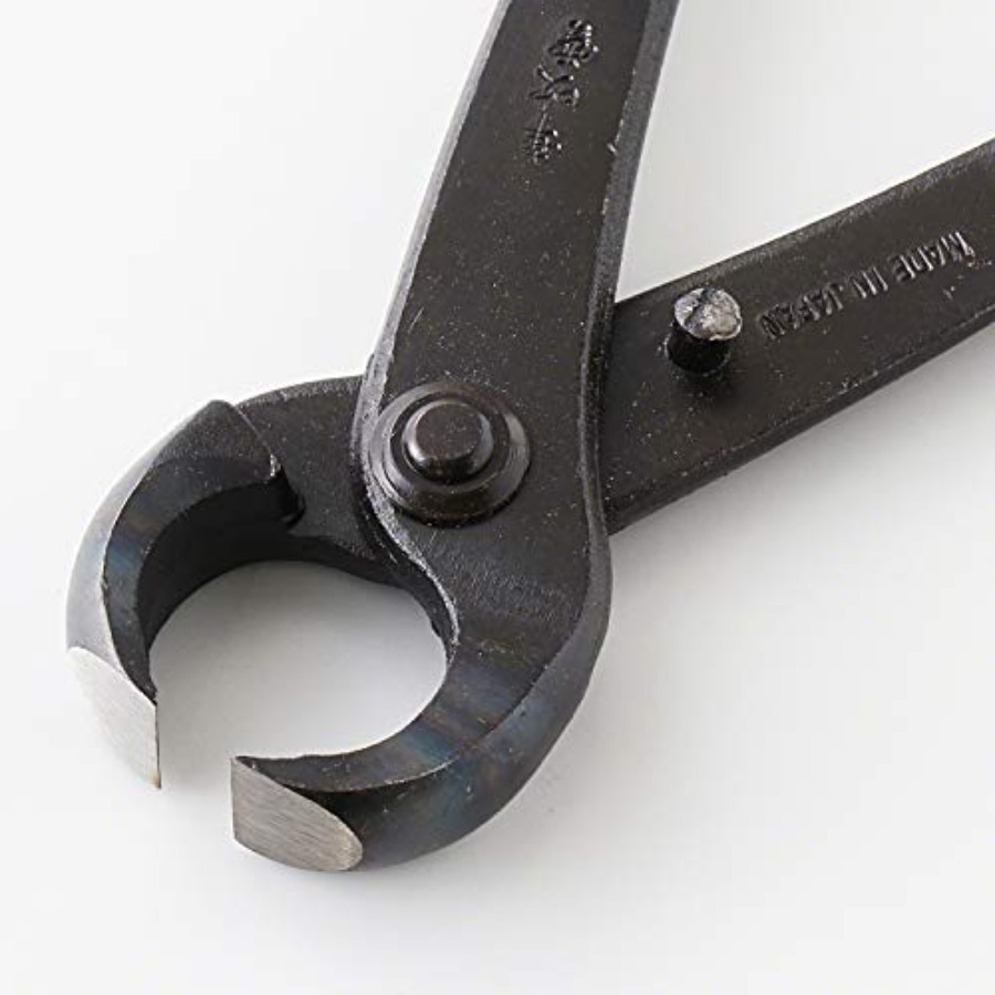Hand Forged Bonsai Tree Trunk  - Gardening Tools Made In Japan recensie en prijs