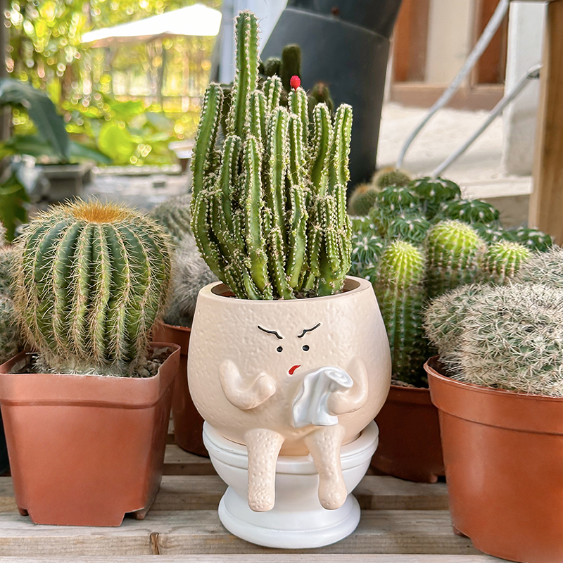 Funny Ghost Toilet Resin Succu - Gardening Tools Cute recensie en prijs