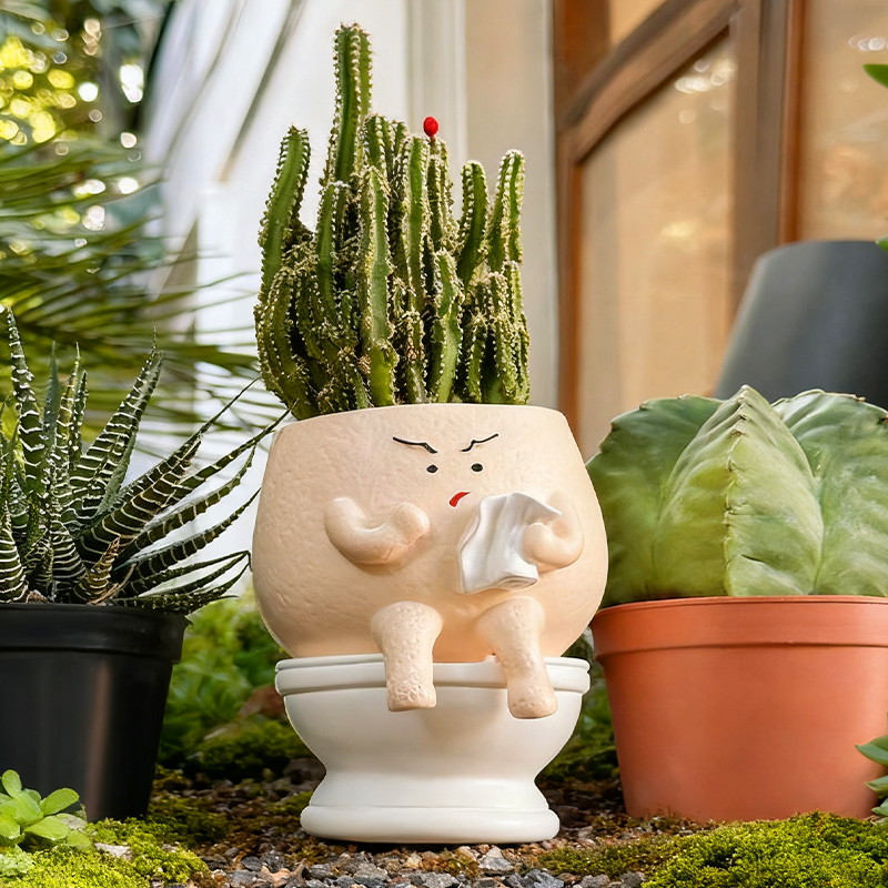 Funny Ghost Toilet Resin Succu - Gardening Tools Cute recensie en prijs